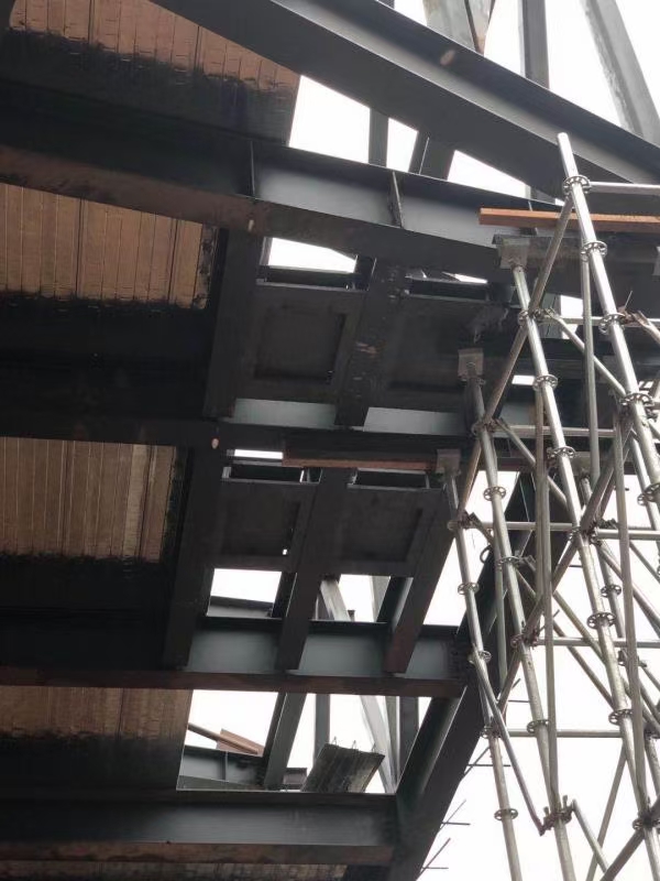 mmexport1642780383562.jpg mmexport1642780383562.jpg